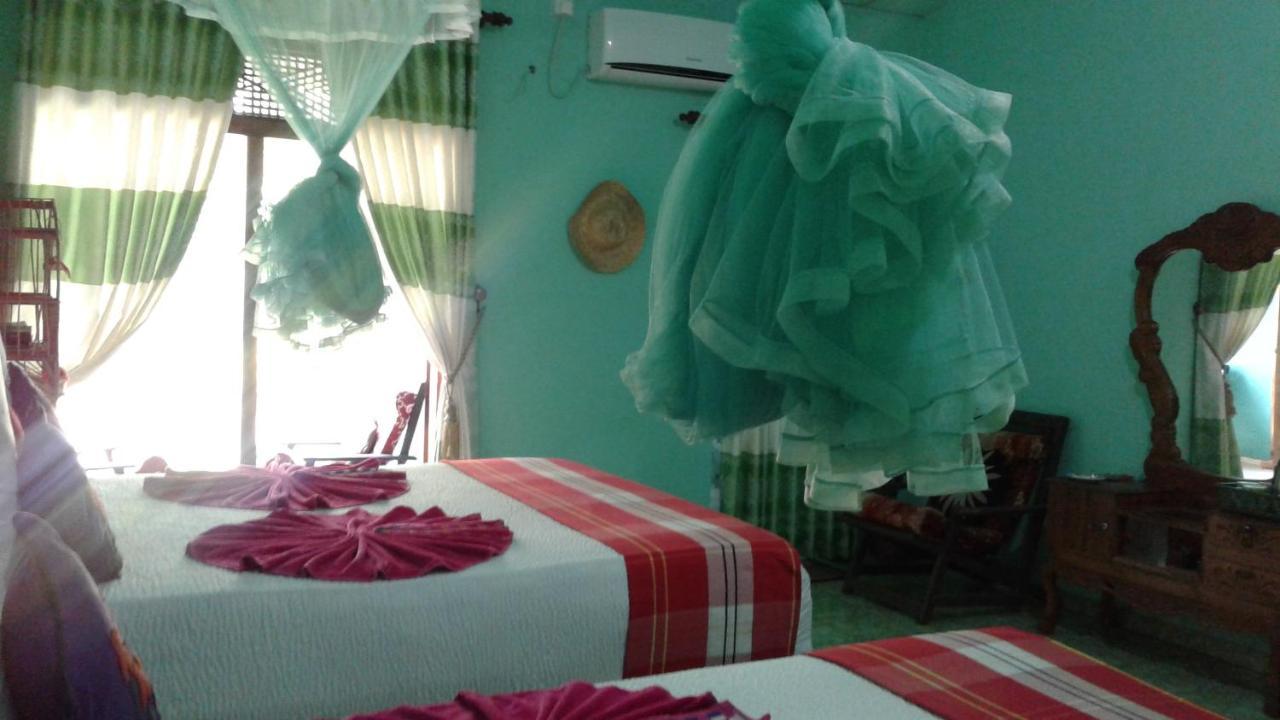 Flower Inn Sigirîya Extérieur photo
